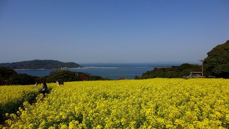 Острова Японии: 15 неземных мест страны Восходящего солнца