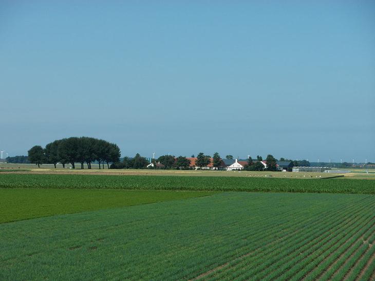 Острова Нидерландов: тихие уголки, куда можно сбежать от толп туристов