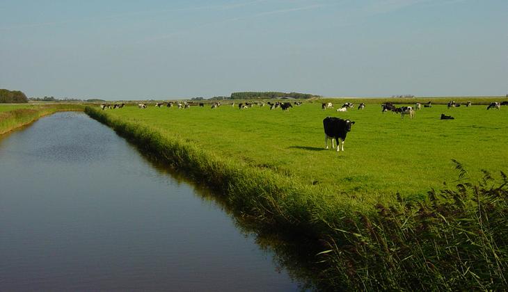 Острова Нидерландов: тихие уголки, куда можно сбежать от толп туристов