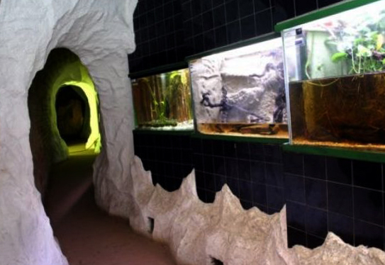 Печ: достопримечательности и интересные места города