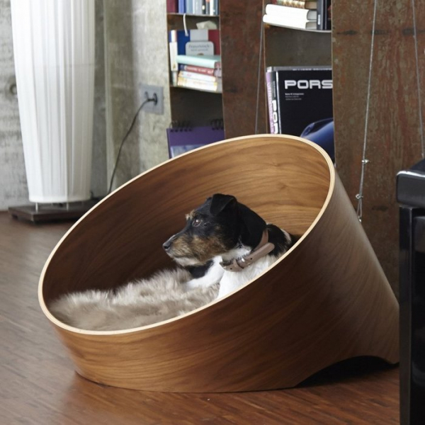 Питомец в доме: 19 интересных лежанок для домашних любимцев