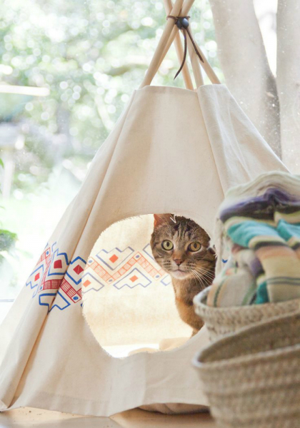 Питомец в доме: 19 интересных лежанок для домашних любимцев