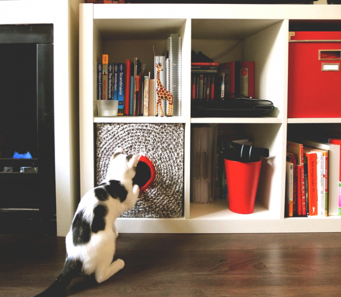 Питомец в доме: 19 интересных лежанок для домашних любимцев