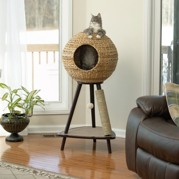 Питомец в доме: 19 интересных лежанок для домашних любимцев