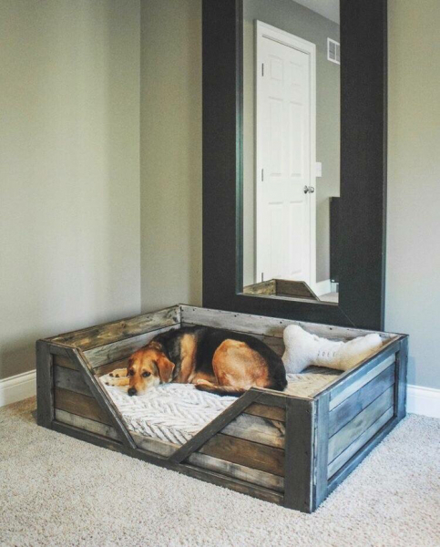 Питомец в доме: 19 интересных лежанок для домашних любимцев