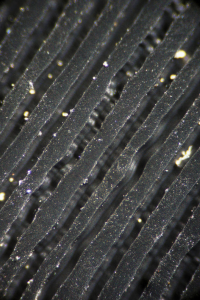 Простые вещи, которые под микроскопом не похожи сами на себя