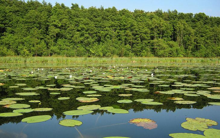 Самые красивые озера Германии: 10 незабываемых мест, которые покоряют с первого взгляда