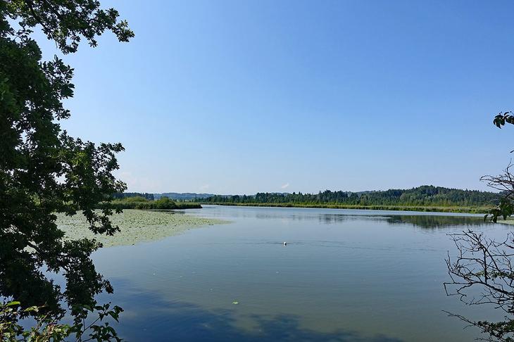 Самые красивые озера Германии: 10 незабываемых мест, которые покоряют с первого взгляда