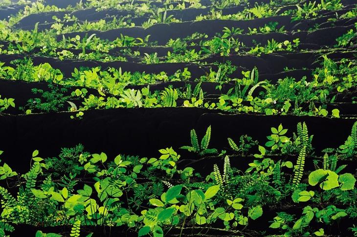 Шондонг - самая большая пещера в мире