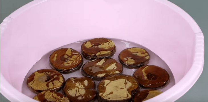 Стильная идея из тазика и обычной ветки