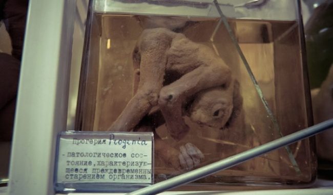 Уникальные музеи России, которые следует посетить хотя бы раз в жизни