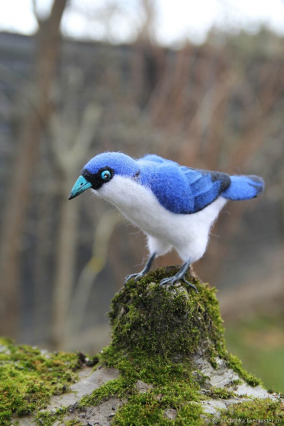 Валяные войлочные птицы от Елены "Птиччка-невеличка"