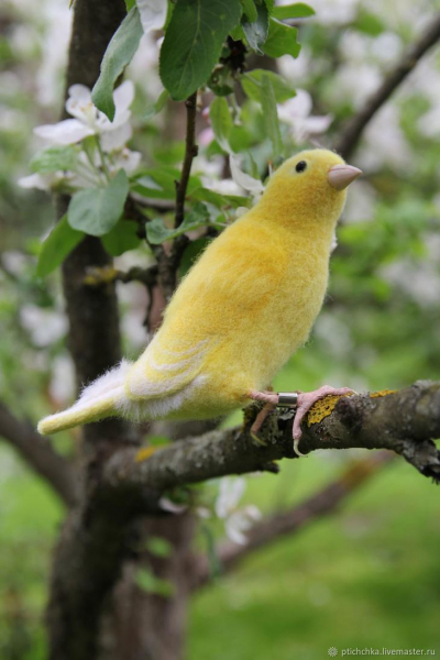 Валяные войлочные птицы от Елены "Птиччка-невеличка"