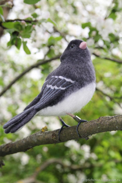 Валяные войлочные птицы от Елены "Птиччка-невеличка"