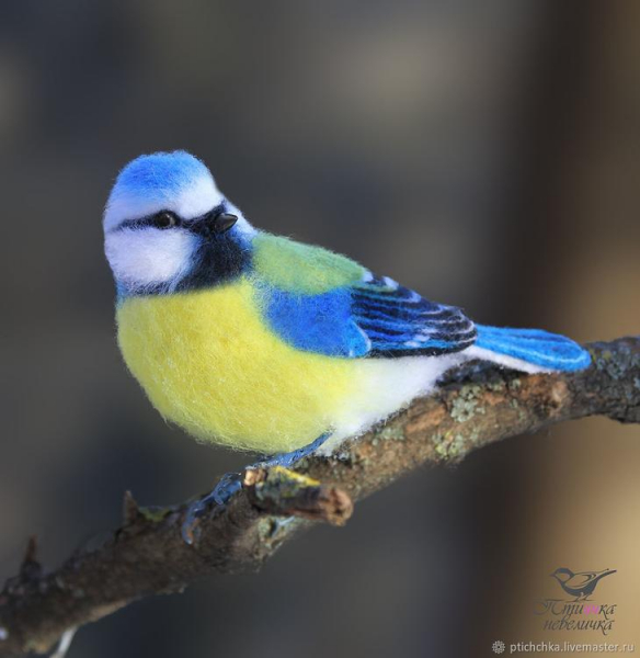 Валяные войлочные птицы от Елены "Птиччка-невеличка"