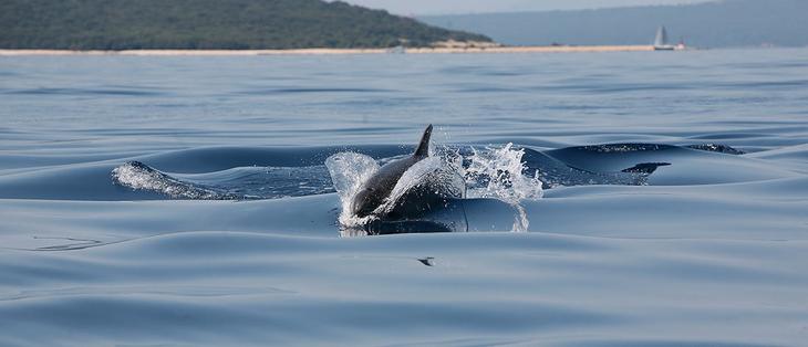 10 потрясающе красивых островов Хорватии, где можно отдохнуть от суеты