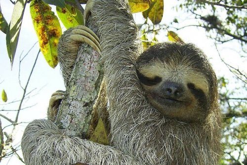 10 шокирующих фактов, в которые очень трудно поверить