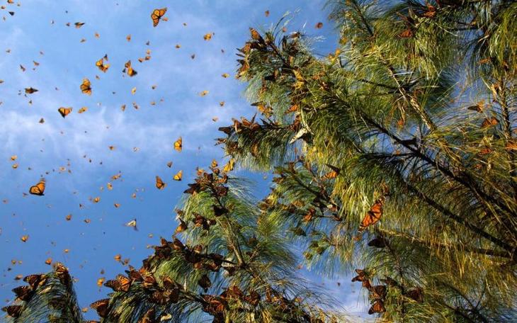 15 стран с самой райской природой на планете