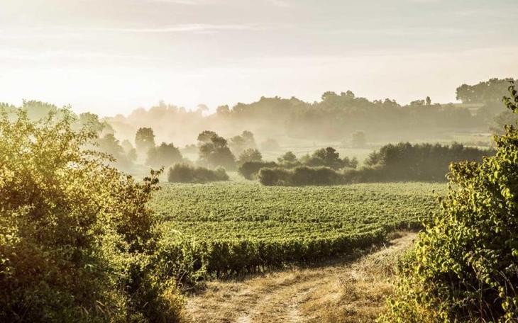 15 стран с самой райской природой на планете