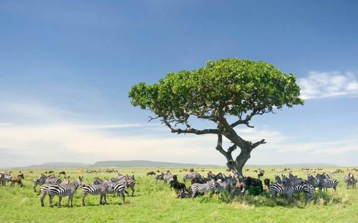 15 стран с самой райской природой на планете