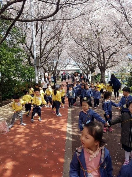 17 удивительных вещей в Южной Корее, которые шокируют европейцев