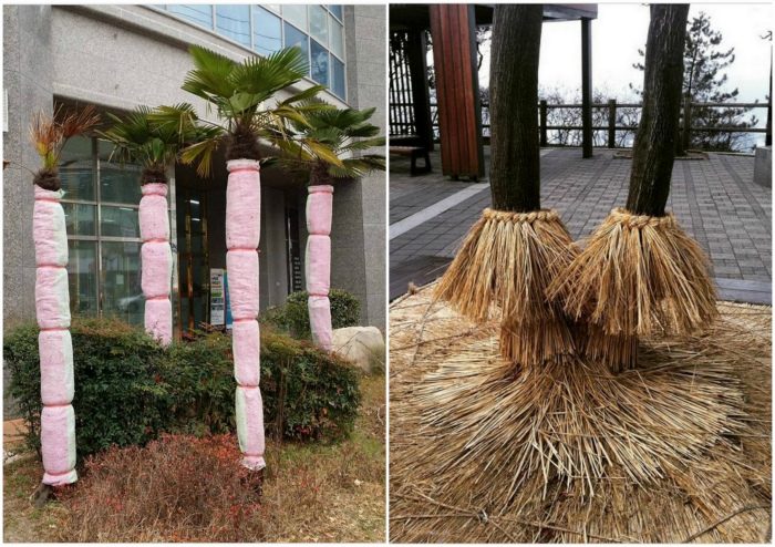 17 удивительных вещей в Южной Корее, которые шокируют европейцев