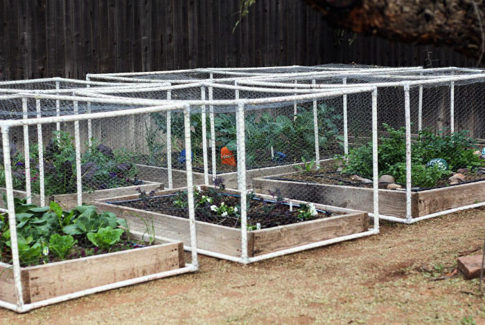 18 нестандартных идей применения ПВХ-труб на садовом участке