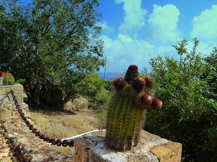 Антигуа и Барбуда: 10 самых интересных достопримечательностей