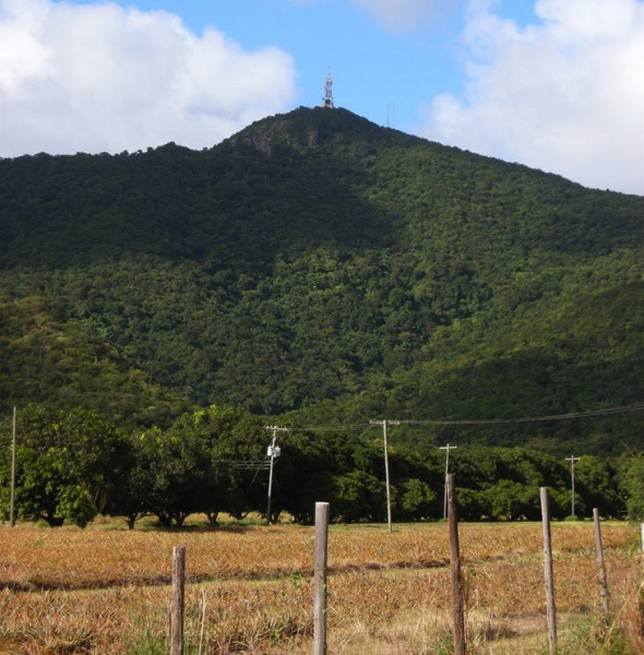 Антигуа и Барбуда: 10 самых интересных достопримечательностей