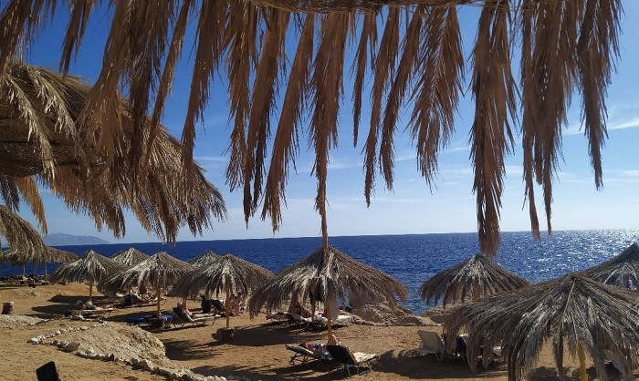 &laquo;Даже как-то странно, честное слово&raquo;: туриста удивил уровень сервиса в Египте