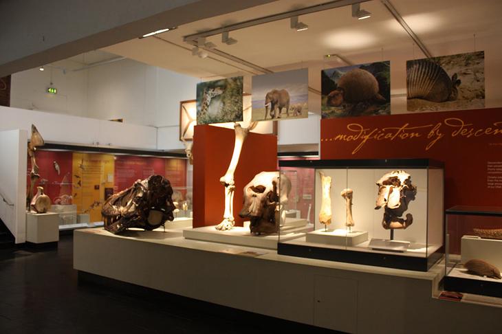 Достопримечательности Белфаста: что посмотреть в столице Северной Ирландии