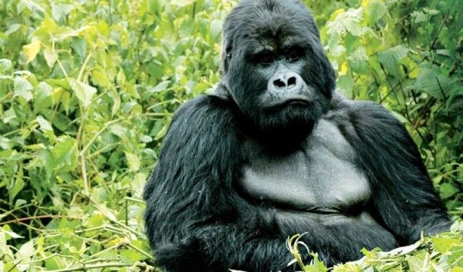 Места, где должен побывать каждый