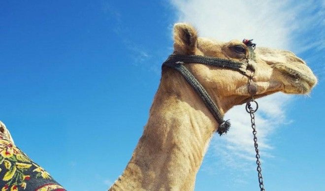 Места, где должен побывать каждый