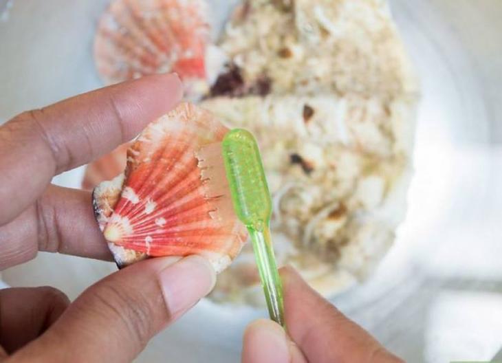 Поделки из ракушек своими руками