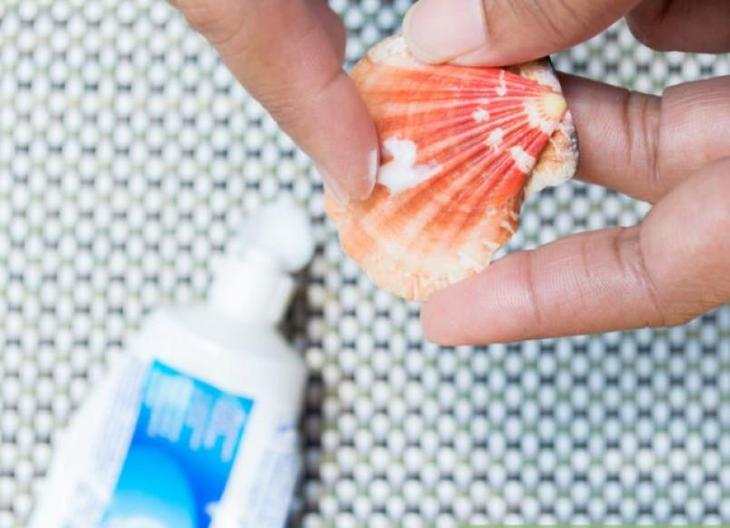 Поделки из ракушек своими руками