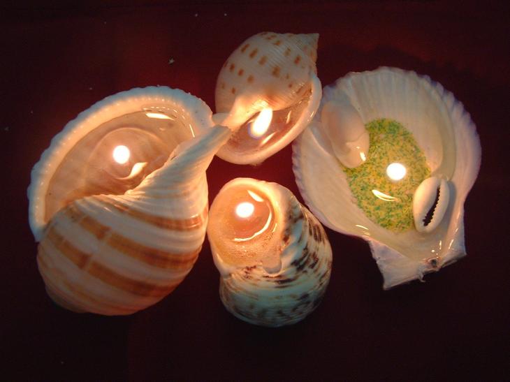 Поделки из ракушек своими руками