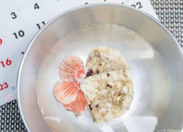 Поделки из ракушек своими руками