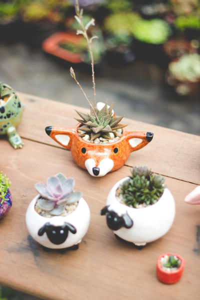 Поднимаем настроение мелочами: 18 оригинальных цветочных горшков