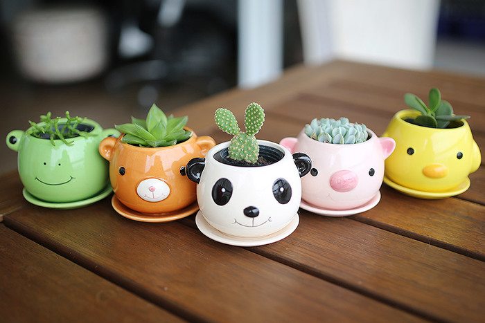 Поднимаем настроение мелочами: 18 оригинальных цветочных горшков