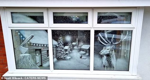 Талантливый англичанин рисует на окнах с помощью искусственного снега