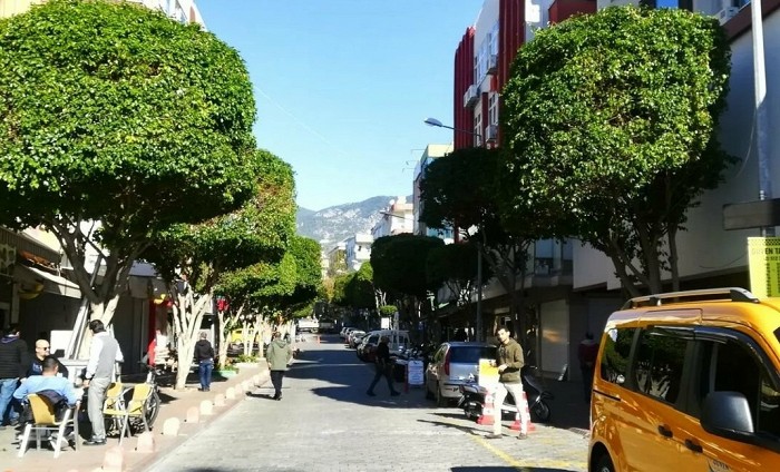 В Турцию за 11 тысяч: россиянка рассказывает об отдыхе в Аланье в декабре