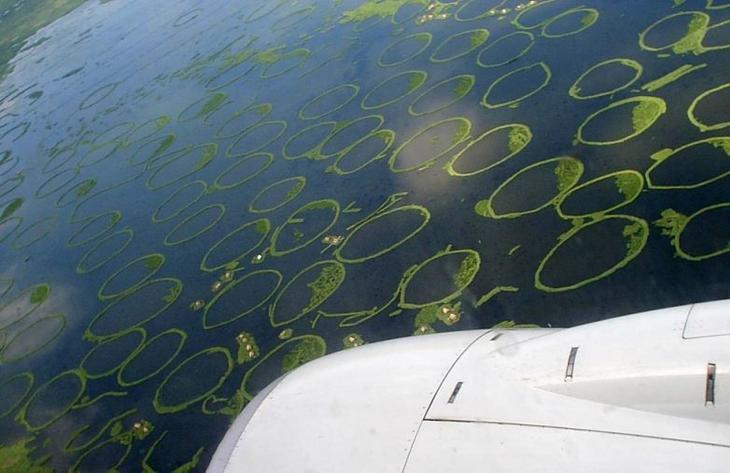 Жемчужина Индии — «плавающее озеро» Локтак