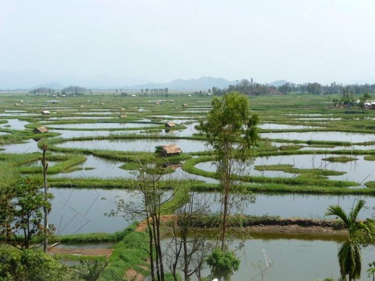 Жемчужина Индии — «плавающее озеро» Локтак