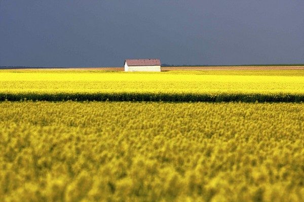 10 потрясающих мест Франции, которые заставляют влюбиться в неё без ума