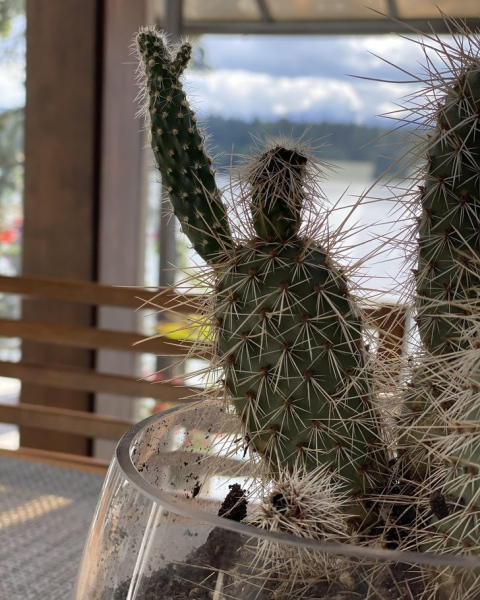 12 случаев, когда природа реально удивила