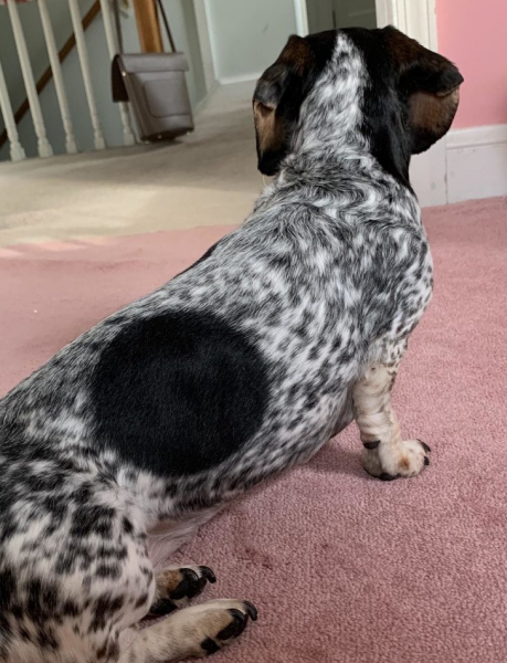 12 случаев, когда природа реально удивила