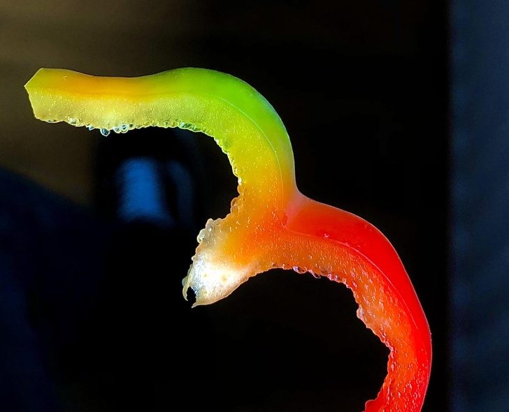 12 случаев, когда природа реально удивила