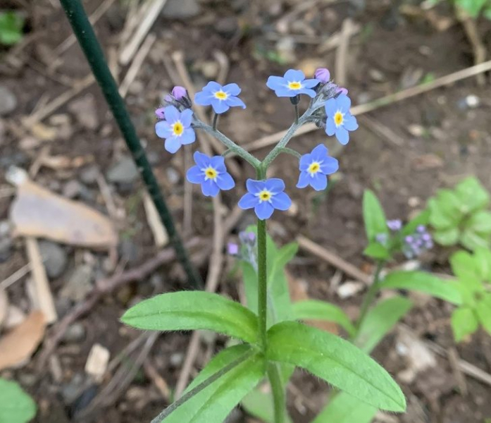 12 случаев, когда природа реально удивила