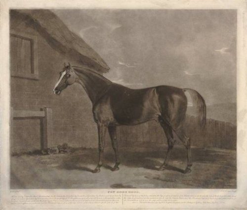 13 достопримечательностей разных стран, которые были созданы совершенно случайно