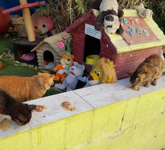 16 фотографий с бесподобной Мальты, после которых вы влюбитесь в эту страну навсегда